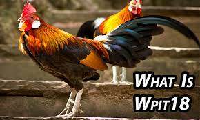 Wpit18