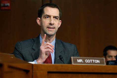 Tom Corton - US Business News